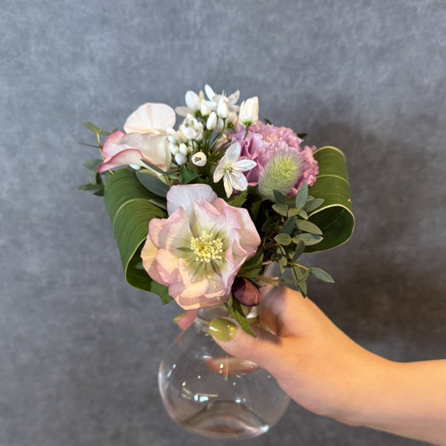みんなコワニーってお花知ってる？
