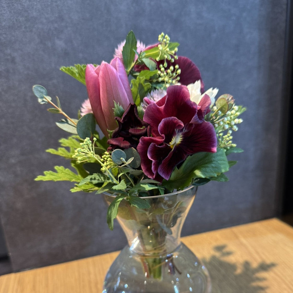 チューリップのお手入れ方法？🌷